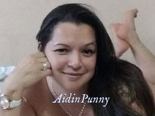 AidinPunny