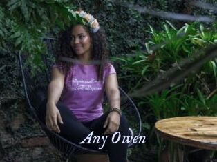 Any_Owen
