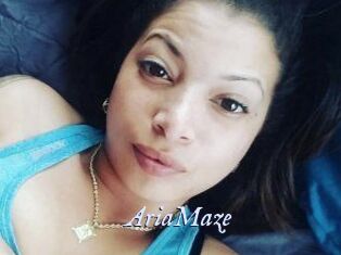 Aria_Maze