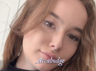 Accabodge