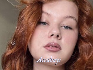 Accabuys