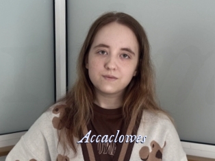 Accaclowes