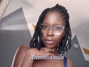 Adinahamila