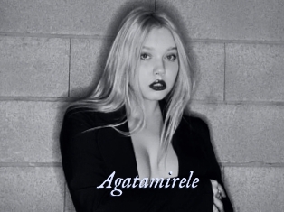 Agatamirele