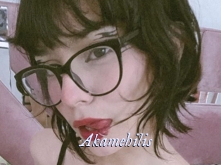 Akamehilis