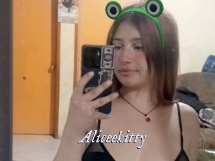 aliceekitty 1 chatte mouillée