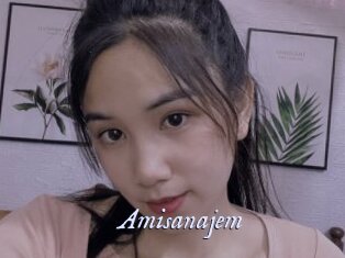 Amisanajem