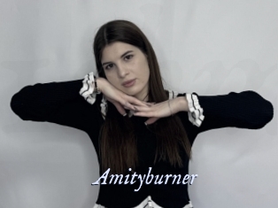 Amityburner