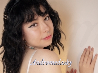Andromedasky