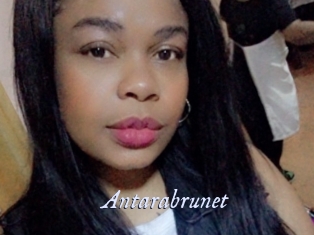 Antarabrunet
