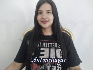 Antonellagar