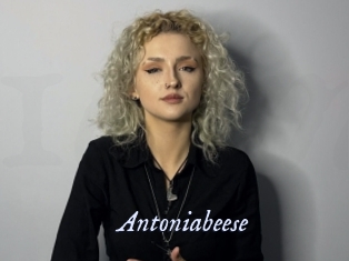 Antoniabeese