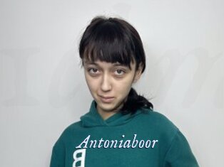 Antoniaboor