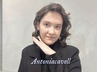Antoniacavell