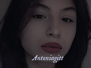 Antoniagitt