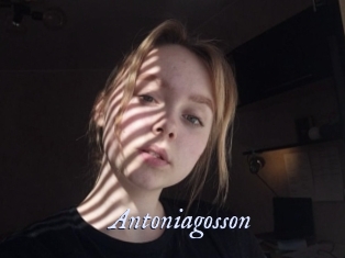 Antoniagosson