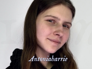 Antoniaharrie