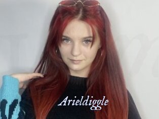 Arieldiggle