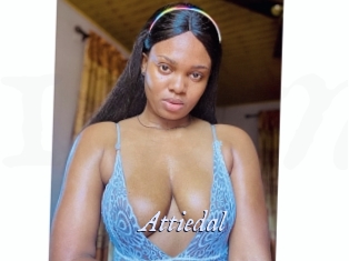 Attiedal