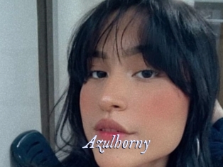 azulhorny 1 chatte mouillée