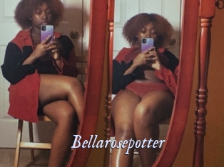 Bellarosepotter