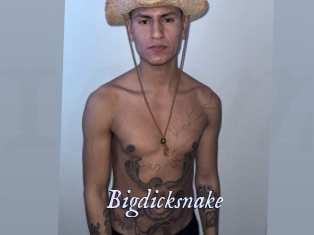 Bigdicksnake