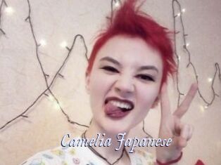 Camelia_Japanese