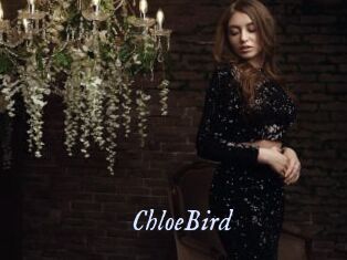 ChloeBird