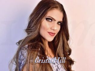 CristalHill 1 chatte mouillée