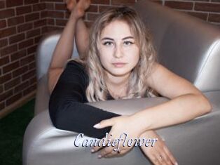 Candieflower