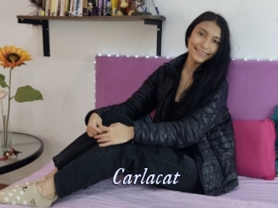 Carlacat