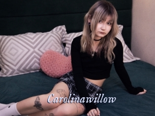 Carolinawillow