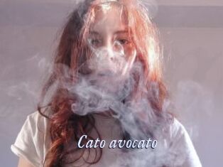 Cato_avocato