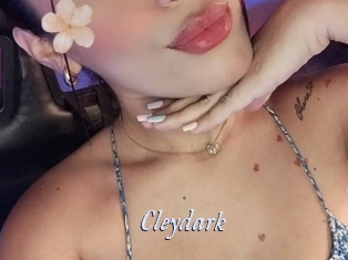 Cleydark