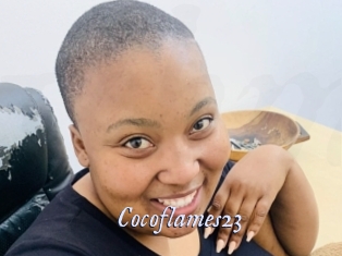 cocoflames23 1 chatte mouillée