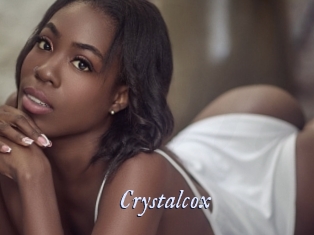 crystalcox 1 chatte mouillée