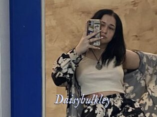 Daisybulkley