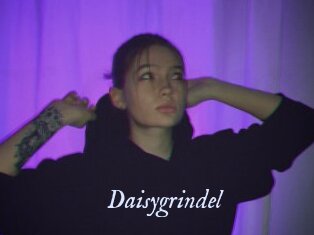 Daisygrindel