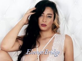 EleonorBridge