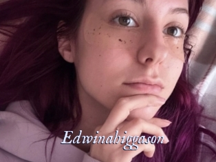 Edwinahiggason