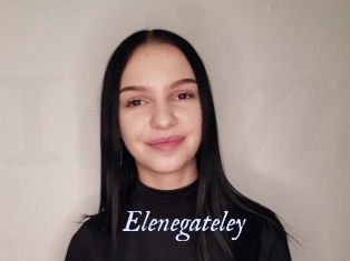 Elenegateley