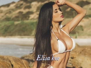Elisa_koe