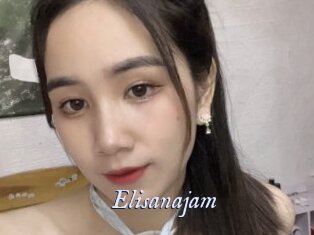 Elisanajam