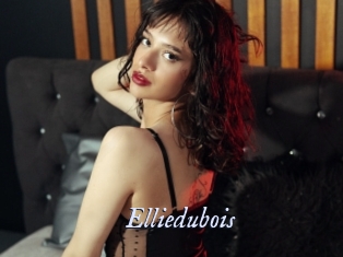 elliedubois 1 chatte mouillée