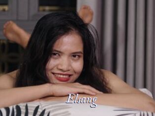 Elsang