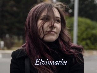 Elvinaatlee