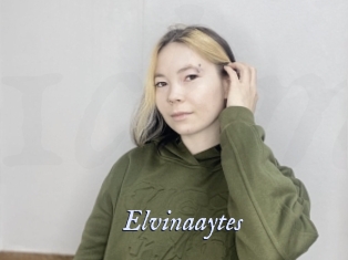 Elvinaaytes