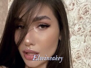 Elwineakey