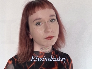 Elwinebuskey