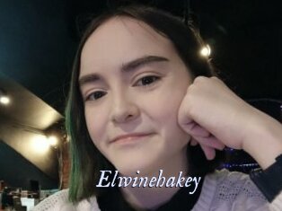 Elwinehakey